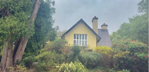 Dinis Cottage Tea Rooms