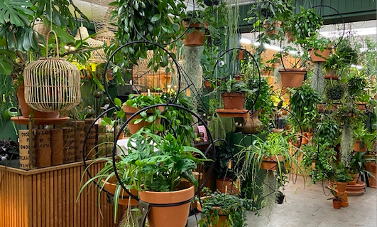 Plantaardig