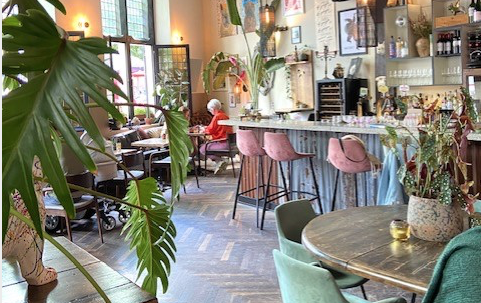 Frenchie Haarlem