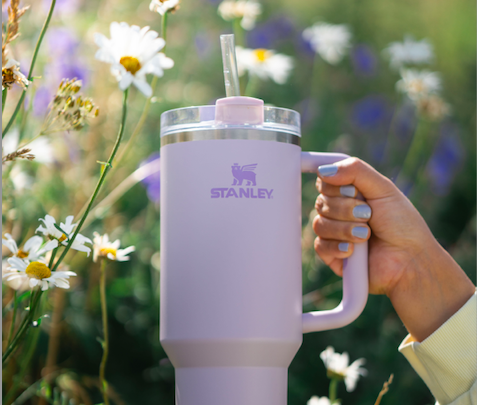 Stanely Quencher H2.0 Flowstate Tumbler