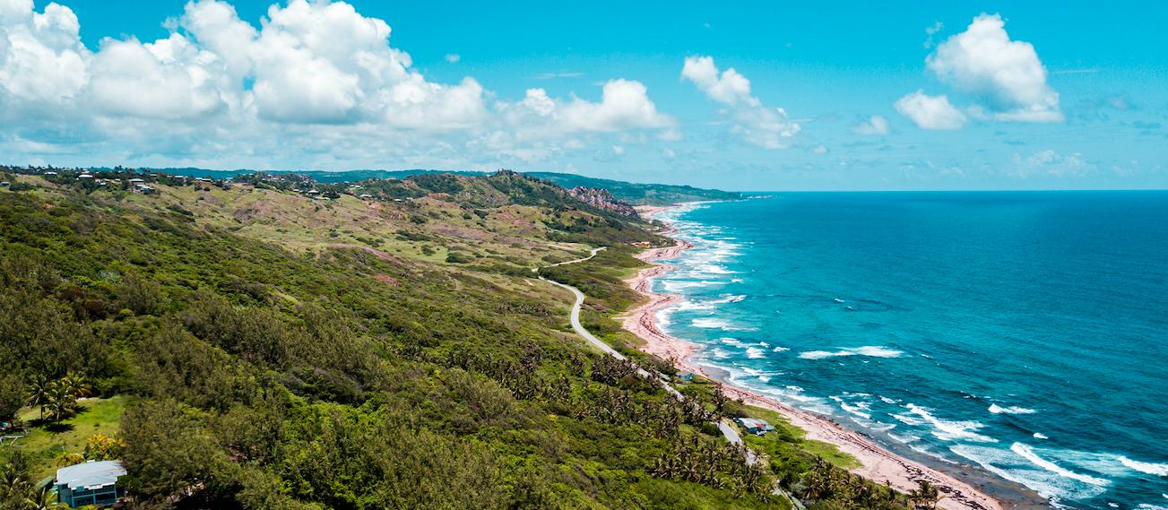 Barbados surfen