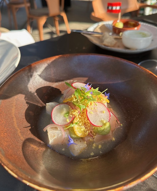 Ceviche van corvina