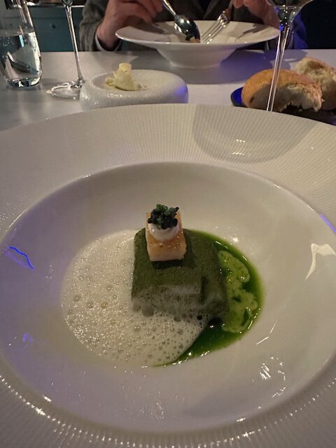 snoekbaars