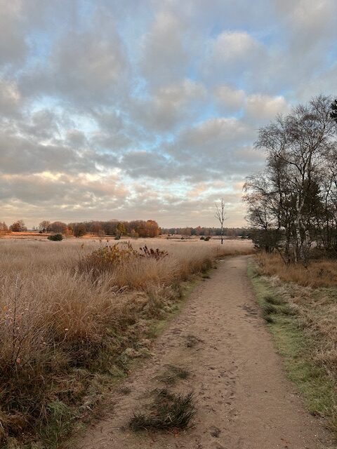 De Hoge Veluwe